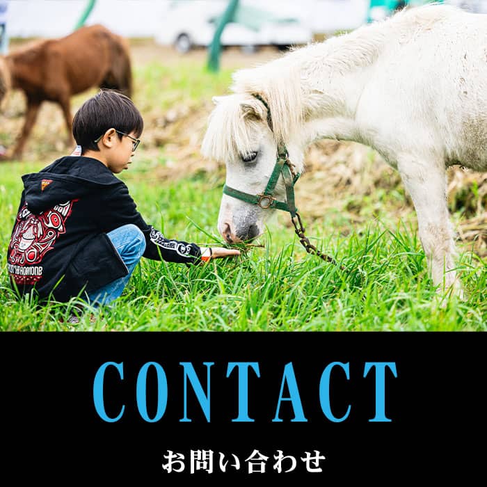 contact